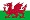 Grupp A Wales